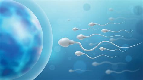 can you get pregnant from dead sperm after vasectomy|pregnant 20 years after vasectomy.